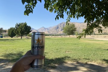 IMG_5693.JPEG