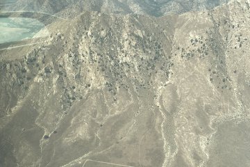 IMG_5737.JPEG