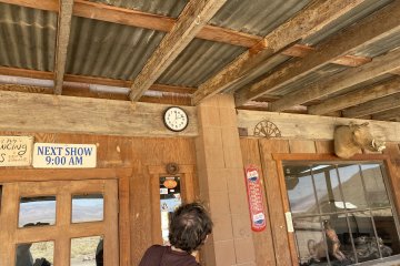 IMG_5828.JPEG