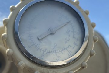 IMG_5837.JPEG