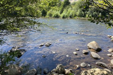 IMG_5842.JPEG