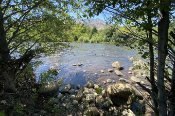 IMG_5843.JPEG