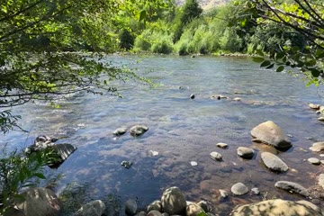IMG_5843.MOV