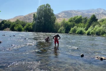 IMG_5847.MOV