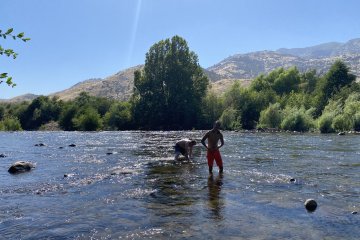 IMG_5848.JPEG