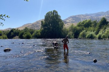 IMG_5849.JPEG