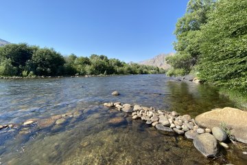 IMG_5852.JPEG