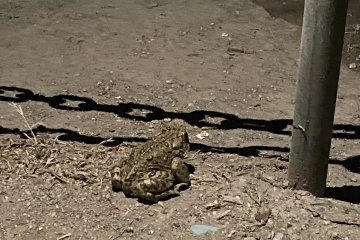 IMG_5869.JPEG