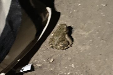 IMG_5871.JPEG