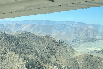 IMG_5881.JPEG