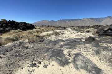 IMG_5893.JPEG