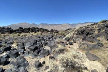 IMG_5895.JPEG