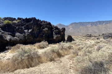 IMG_5896.JPEG