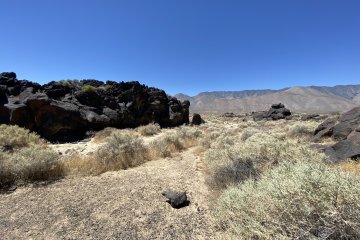 IMG_5897.JPEG