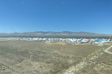 IMG_5917.JPEG