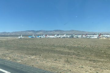 IMG_5923.JPEG