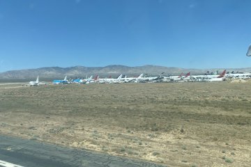 IMG_5924.JPEG