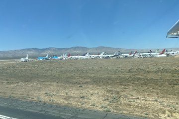 IMG_5925.JPEG