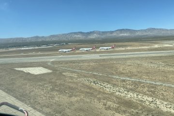 IMG_5941.JPEG