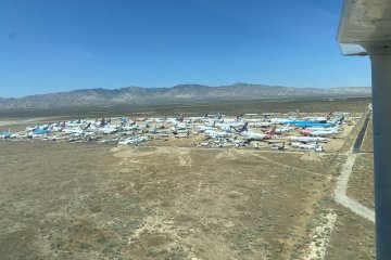 IMG_5953.JPEG