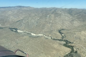 IMG_5993.JPEG