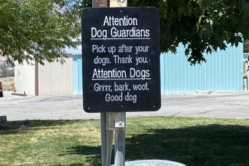 IMG_6001.JPEG