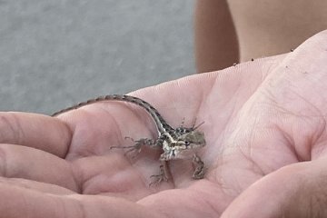 IMG_6012.JPEG