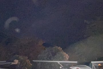 IMG_6037.JPEG