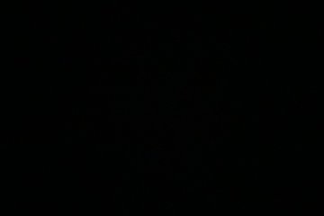 IMG_6048.JPEG