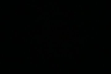 IMG_6049.JPEG