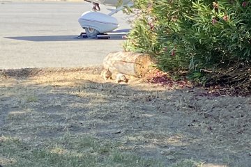 IMG_6058.JPEG