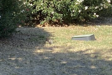 IMG_6060.JPEG