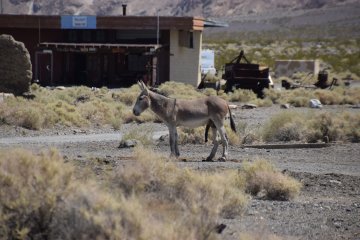 IMG_6139.JPG