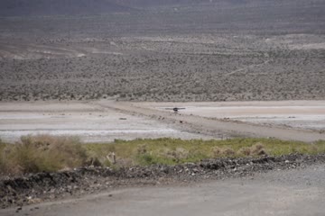 DSC_0003.MOV