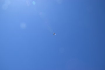 DSC_0006.JPG