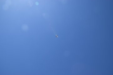 DSC_0007.JPG