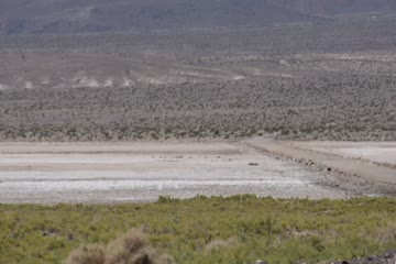 DSC_0009.MOV