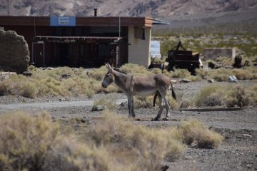DSC_0021.JPG