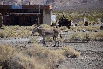 DSC_0023.JPG
