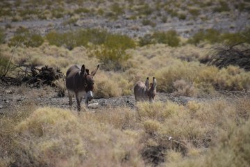 DSC_0024.JPG