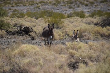 DSC_0025.JPG