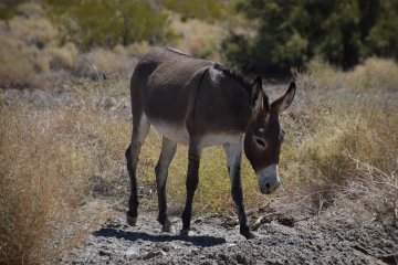 DSC_0026.JPG