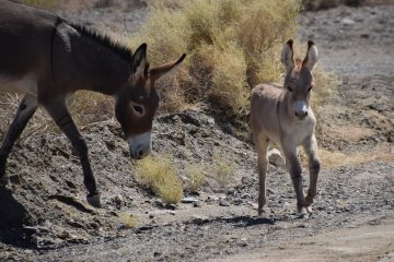 DSC_0027.JPG
