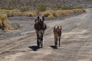 DSC_0029.JPG