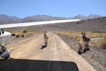 DSC_0038.JPG
