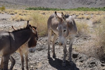 DSC_0041.JPG