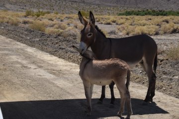 DSC_0043.JPG