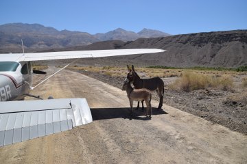 DSC_0044.JPG
