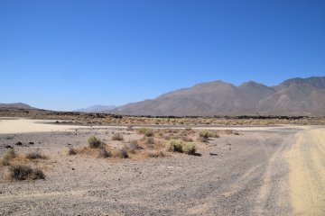 DSC_0080.JPG