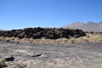 DSC_0083.JPG